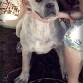 Tango 6 meses